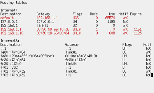 図3.3 topless -c netstat -nrの実行例