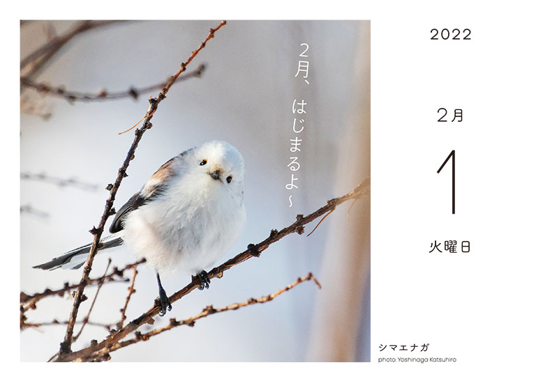 翔泳社 22年カレンダー
